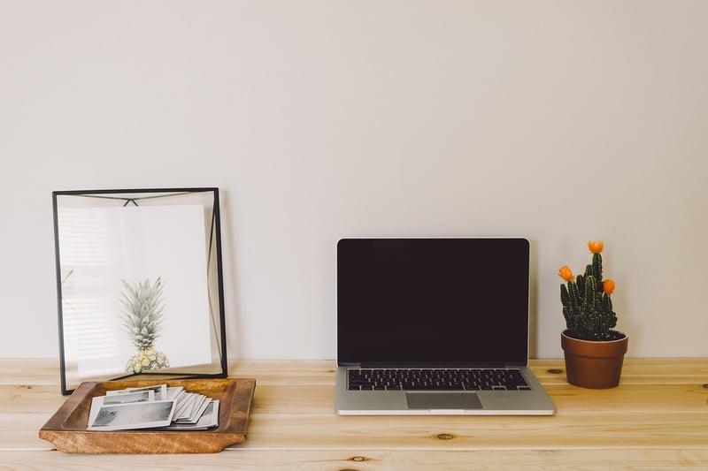 Green Plant in Workspace